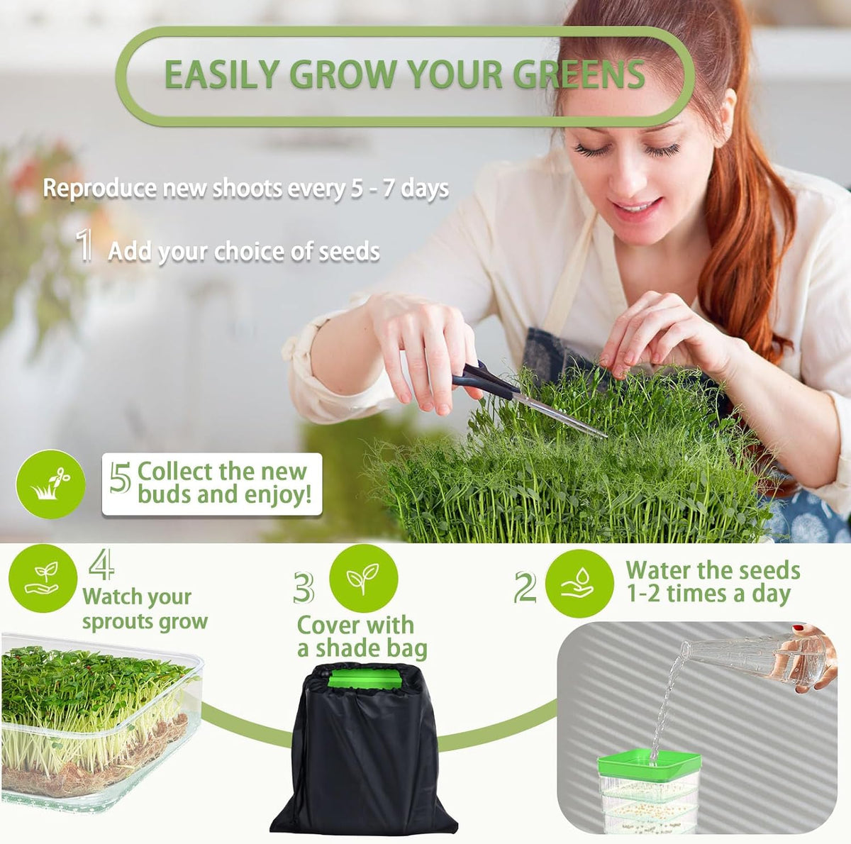 4-Tier Seed Sprouting Kit with