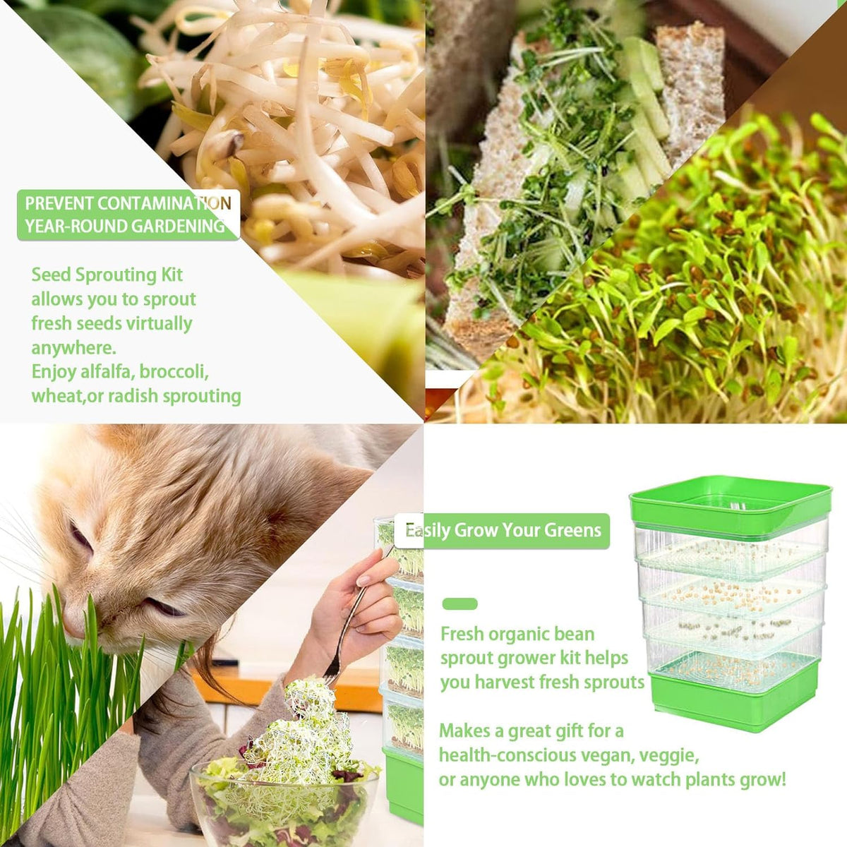 4-Tier Seed Sprouting Kit with